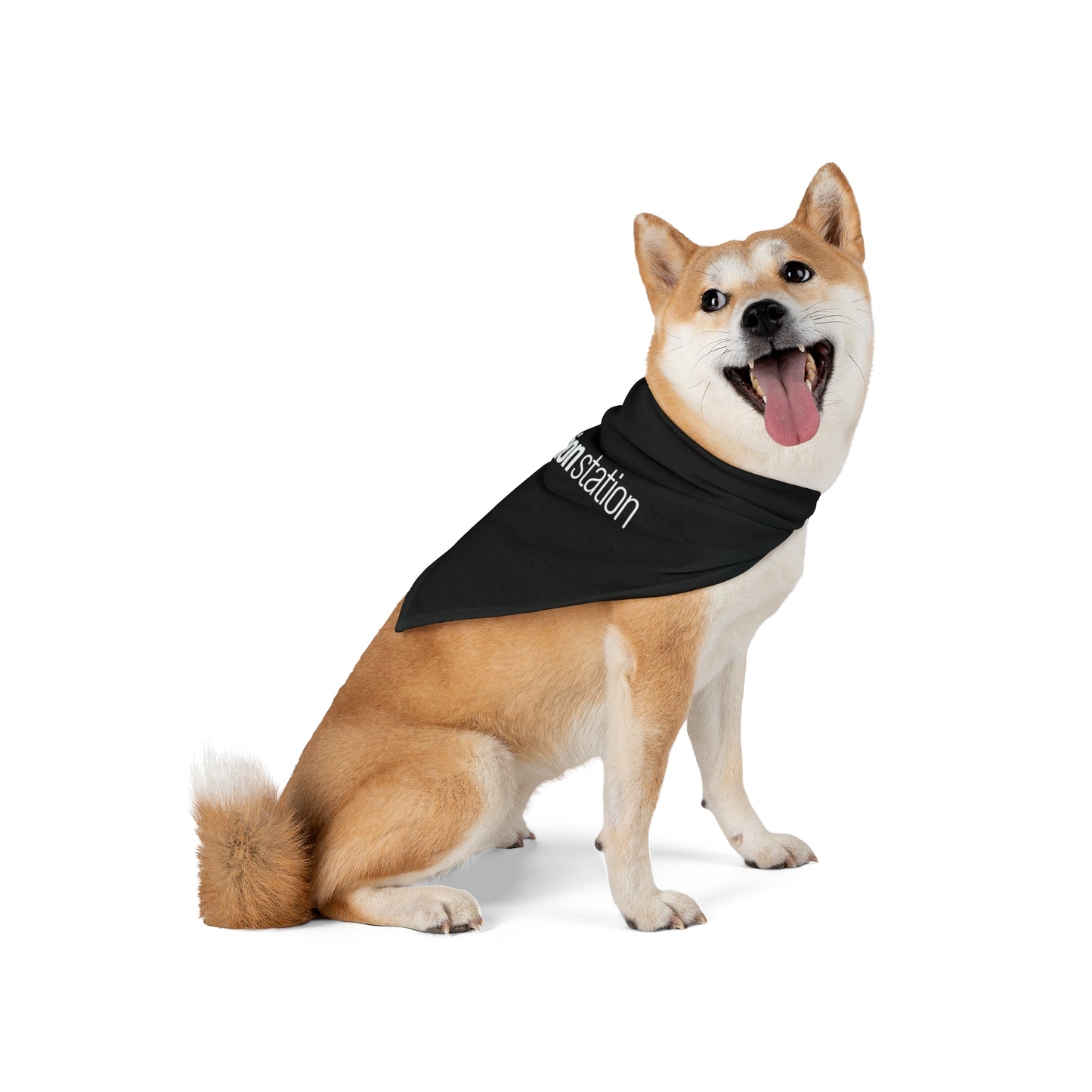 Copy of Pet Bandana